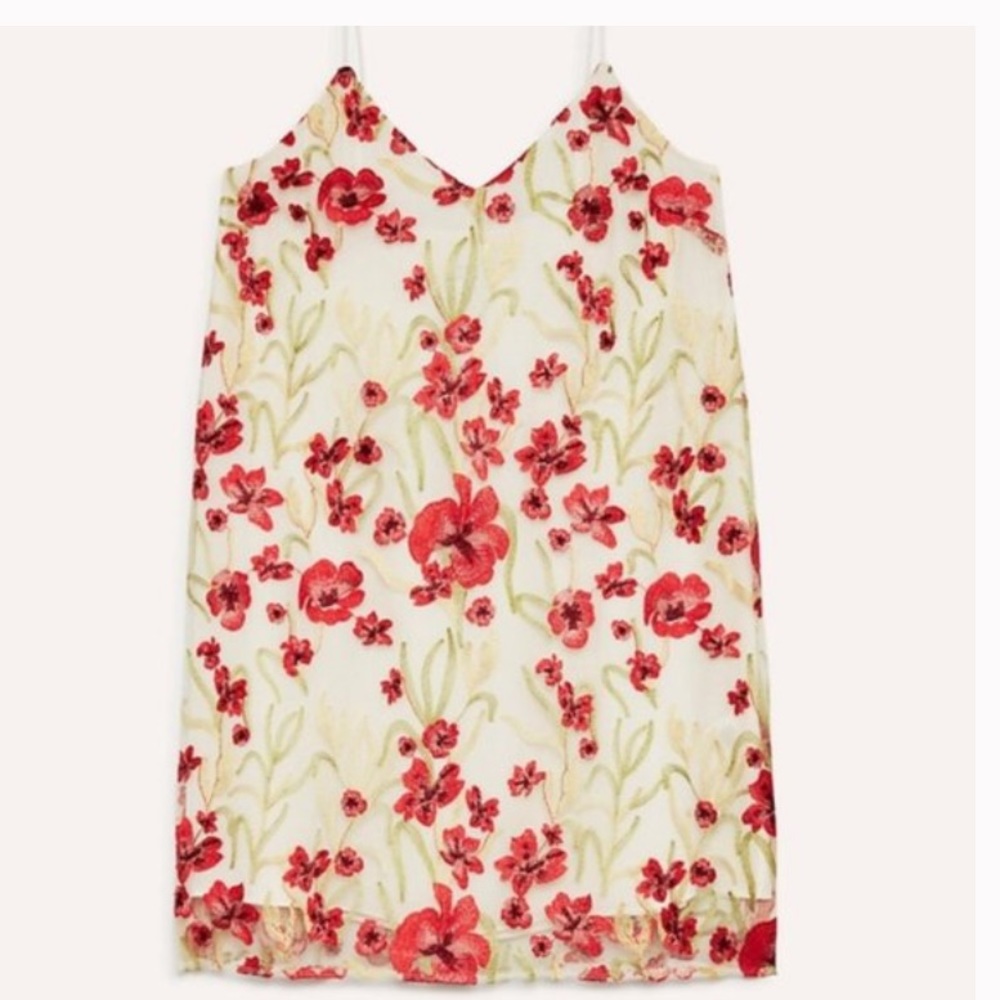 Aritzia Little Moon Cheyenne Dress